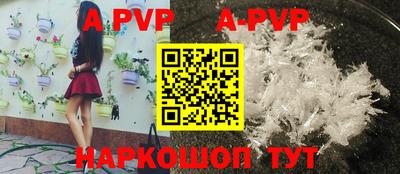 СК Славгород